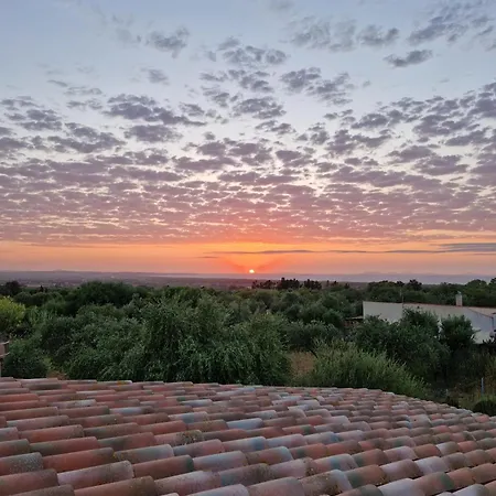 Il Ronchetto Holiday home *