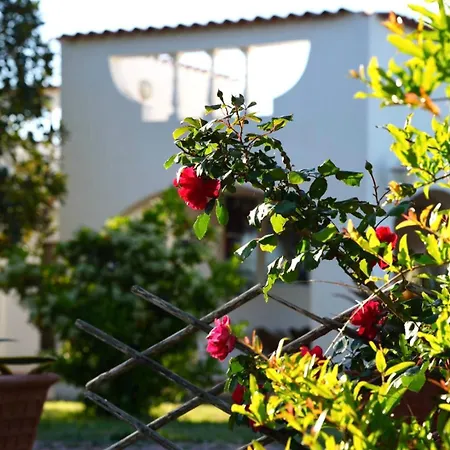 Il Ronchetto Holiday home Sorso